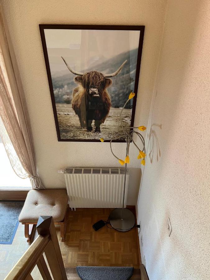 Chalet Les Rhodos Appartement Le Yeti 莱斯·克洛塞特斯 外观 照片